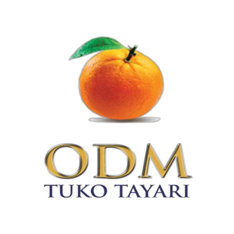 ODM Logo